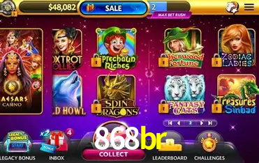 868br - Support